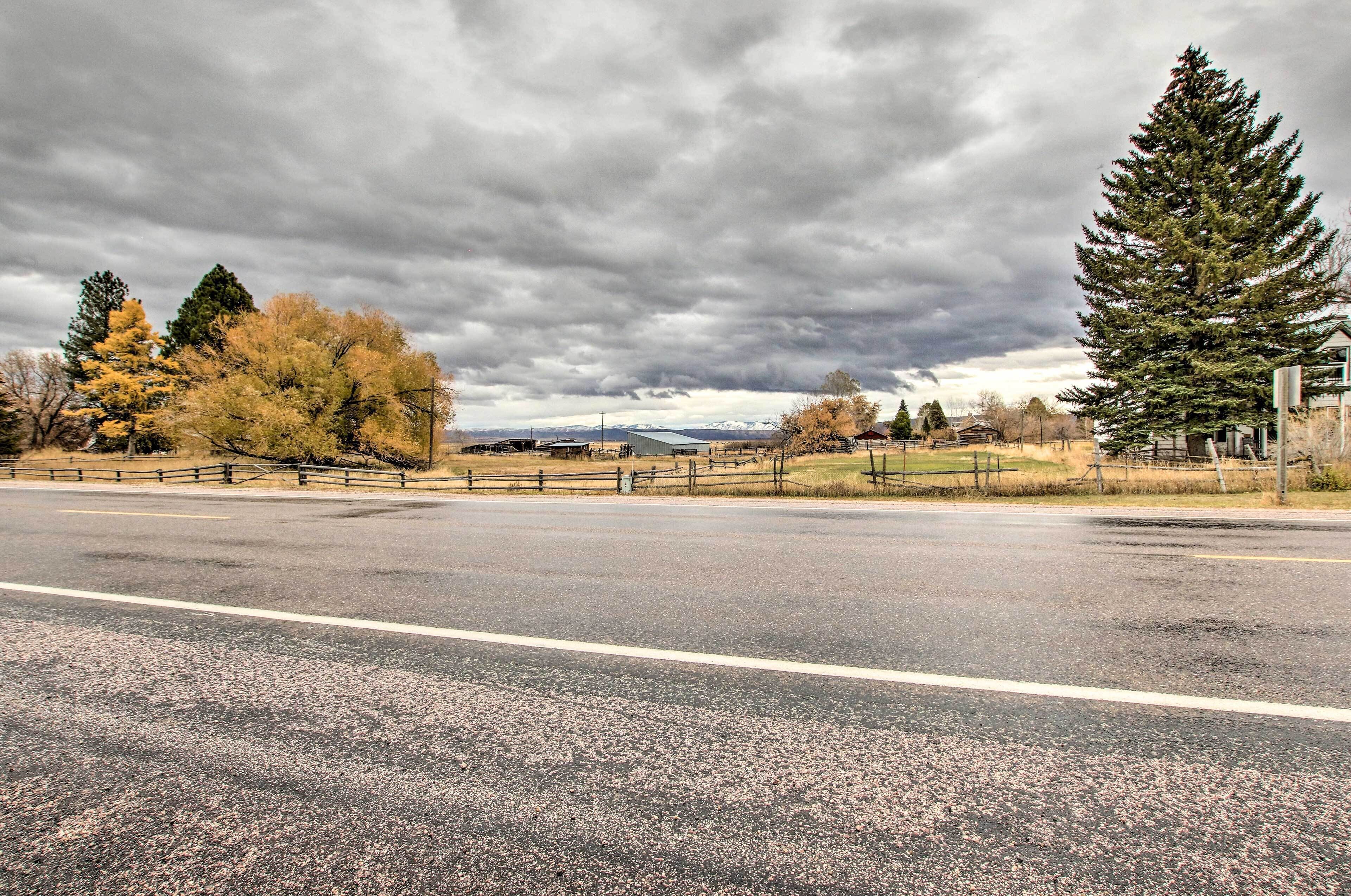 A wide road with a fence on the left and a large evergreen tree on the right.
