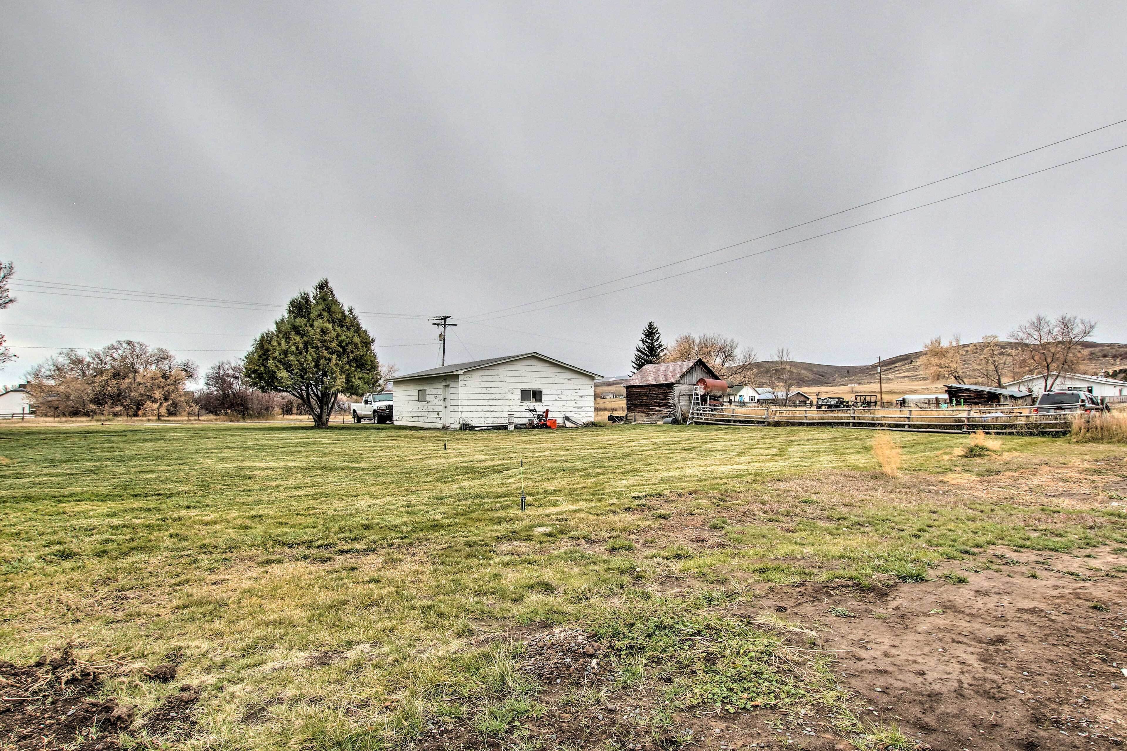 A rural landscape with a white house, a large tree, and a field.