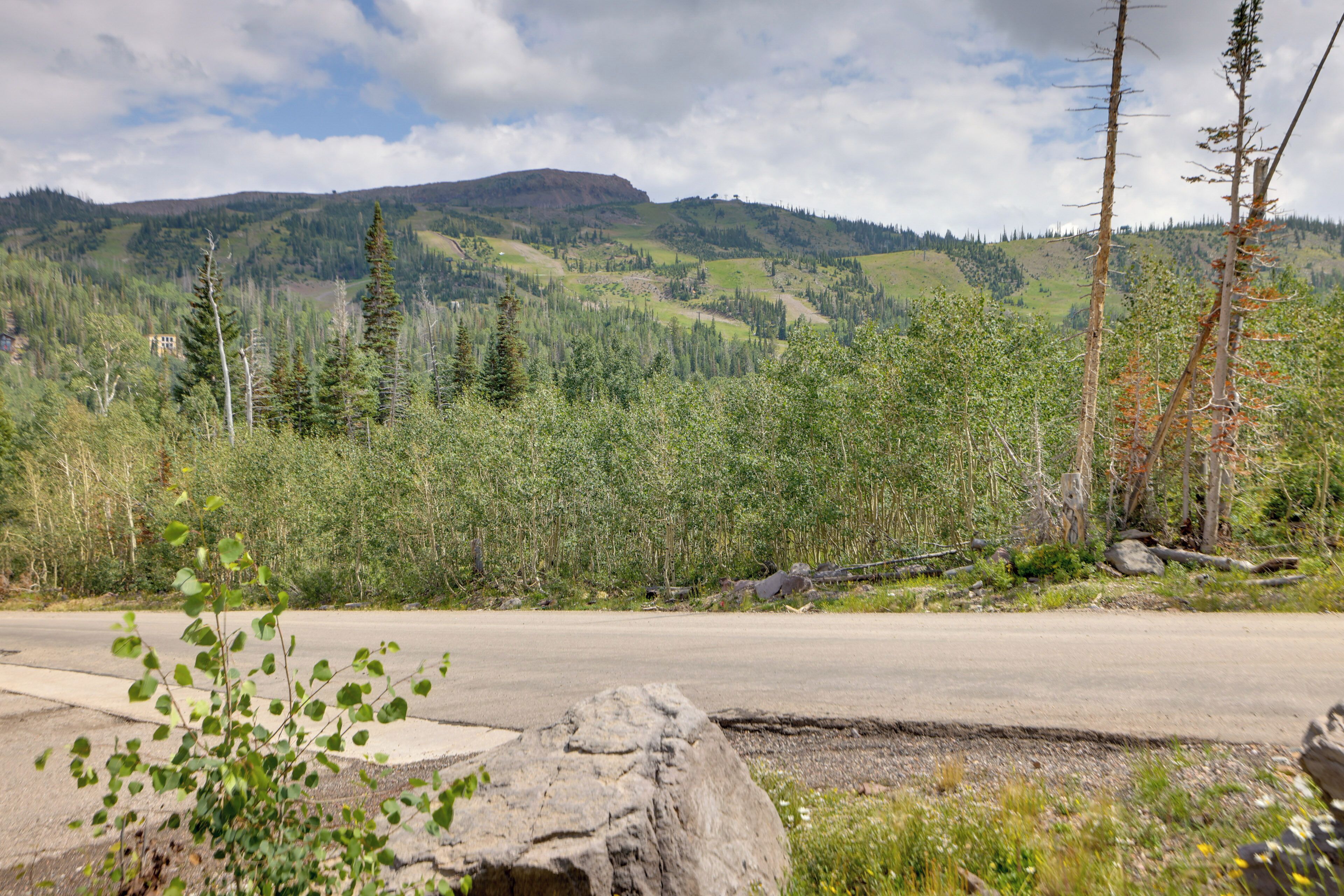 A road with a rocky outcrop in the foreground, surrounded by dense forest and hills in the background.