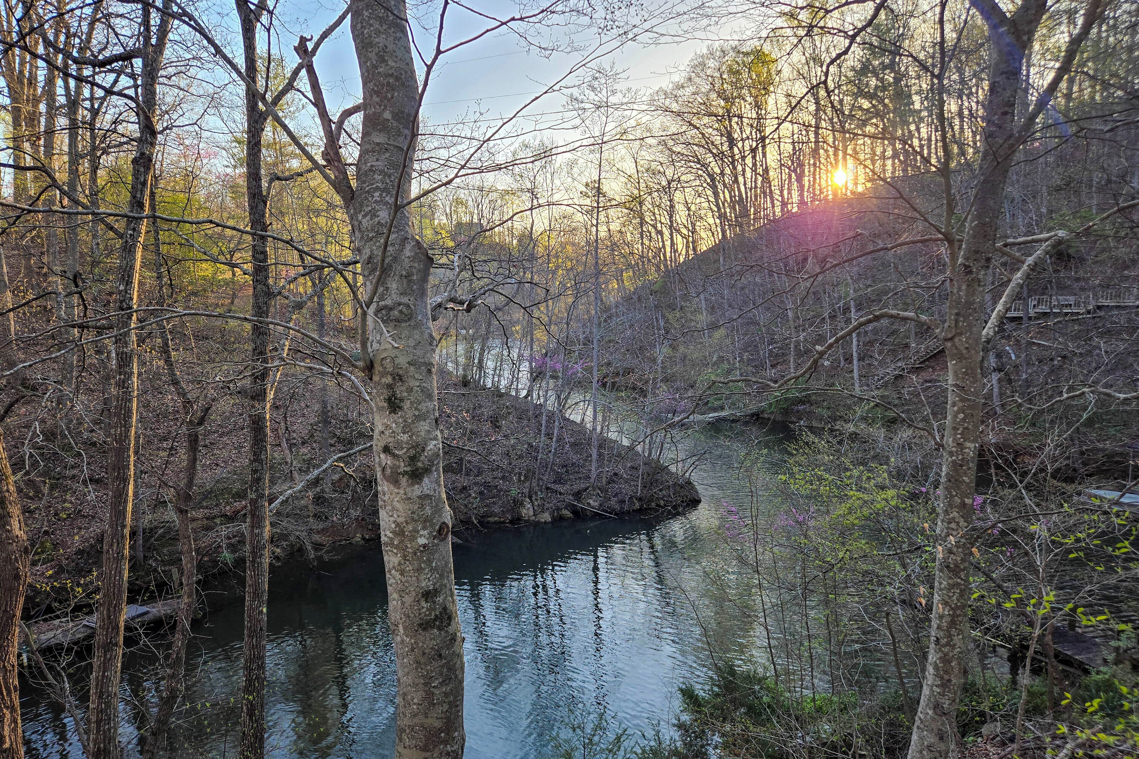 A forested area with a river, trees, and a small island.