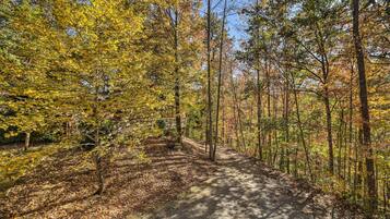 Apartemen (0 Bedroom) | Interior