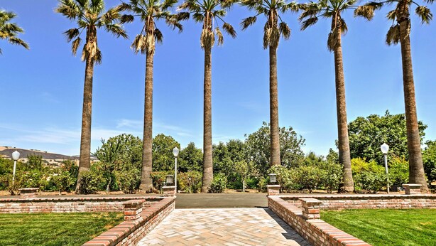 A paved pathway flanked by palm trees and brick planters, leading to a building entrance.