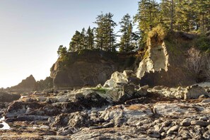 A rocky shoreline with trees and cliffs.