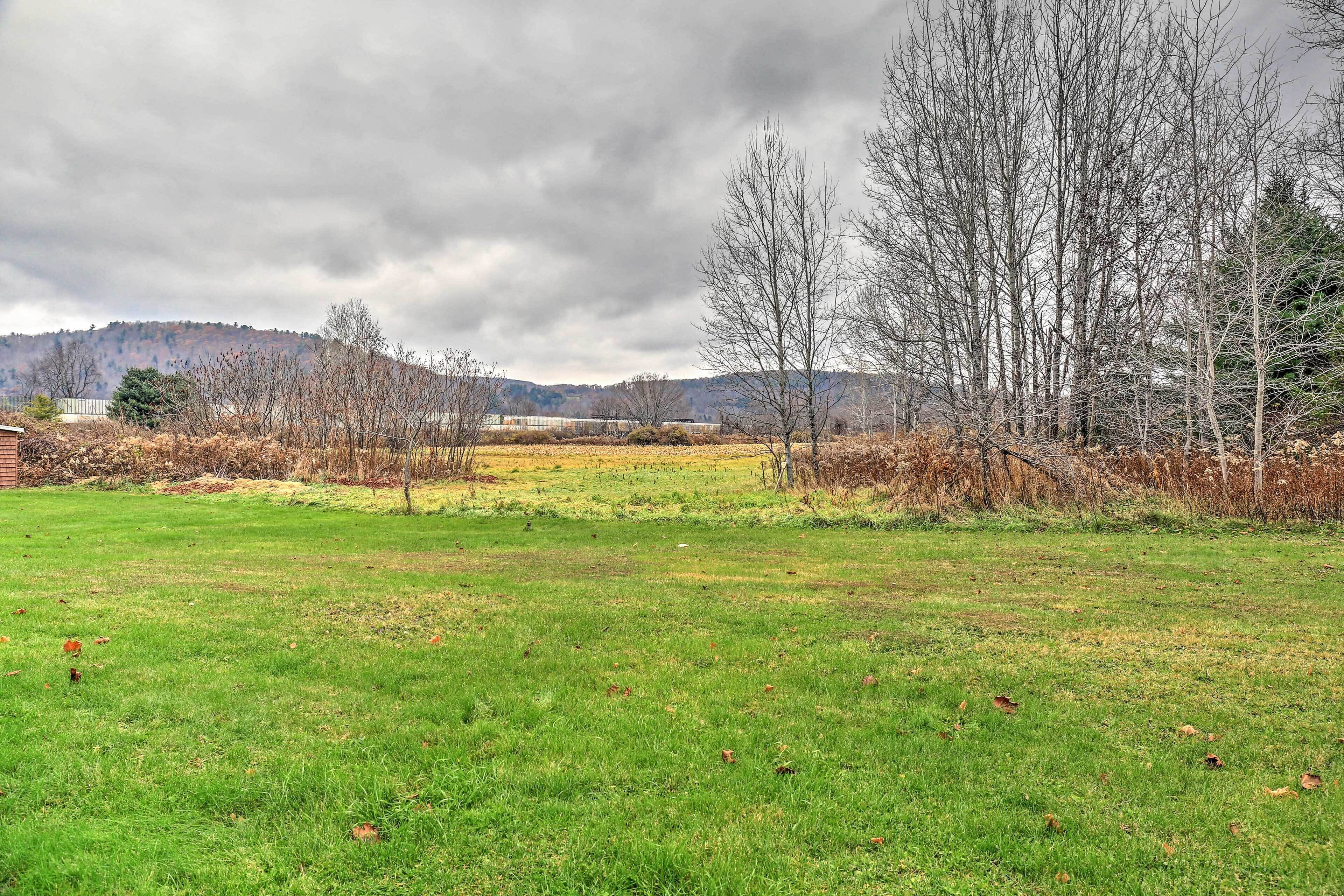 A grassy field with trees and a distant mountain range under a cloudy sky.