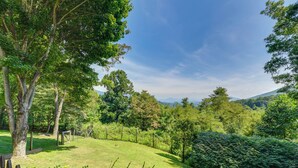 A lush green landscape with a variety of trees and a well-maintained grassy area. - Pet-friendly Waynesville Retreat w/ Hot Tub! (Waynesville)