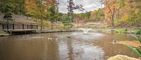A tranquil park with a pond, ducks, and autumn foliage.