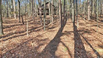 Nhà (1 Bedroom) | Nội thất