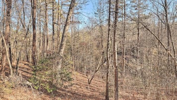 Hus (3 Bedrooms) | Innvendig