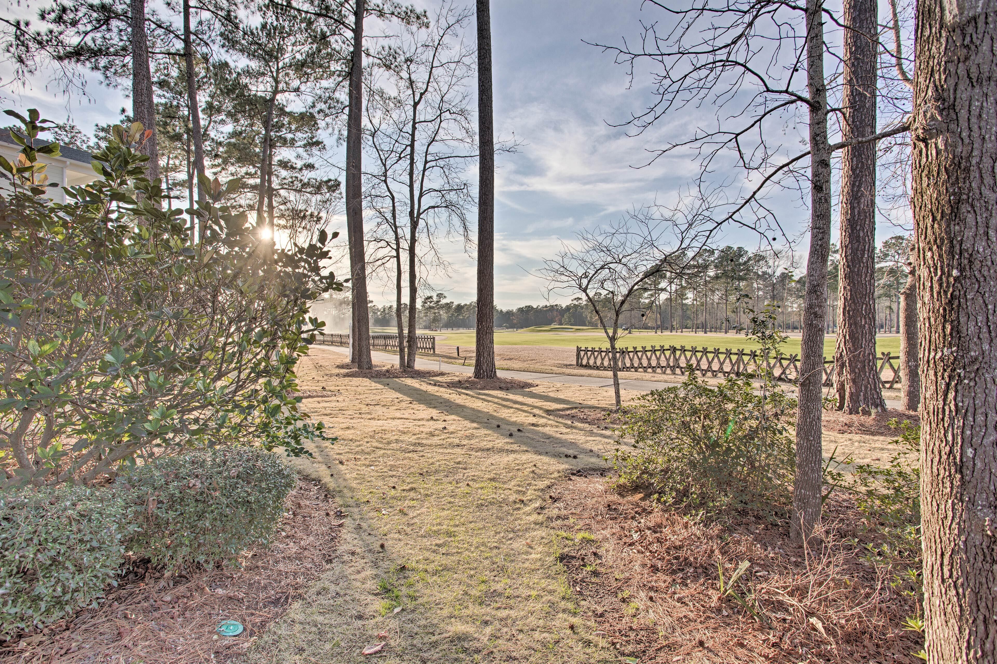A park with tall trees, a grassy path, and a wooden fence in the background.