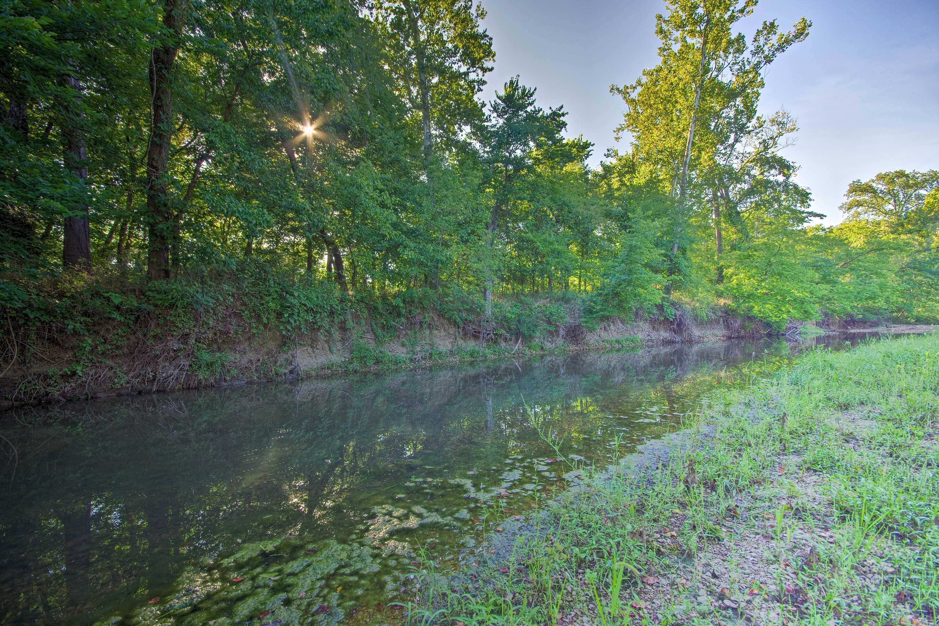 A serene river surrounded by dense greenery and trees.