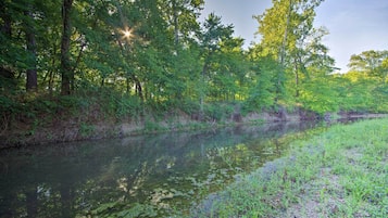 A serene river surrounded by dense greenery and trees.