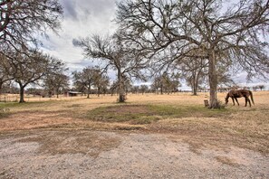 Mökki (1 Bedroom) | Sisätilat