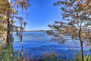 Um lago tranquilo rodeado por árvores e vegetação.