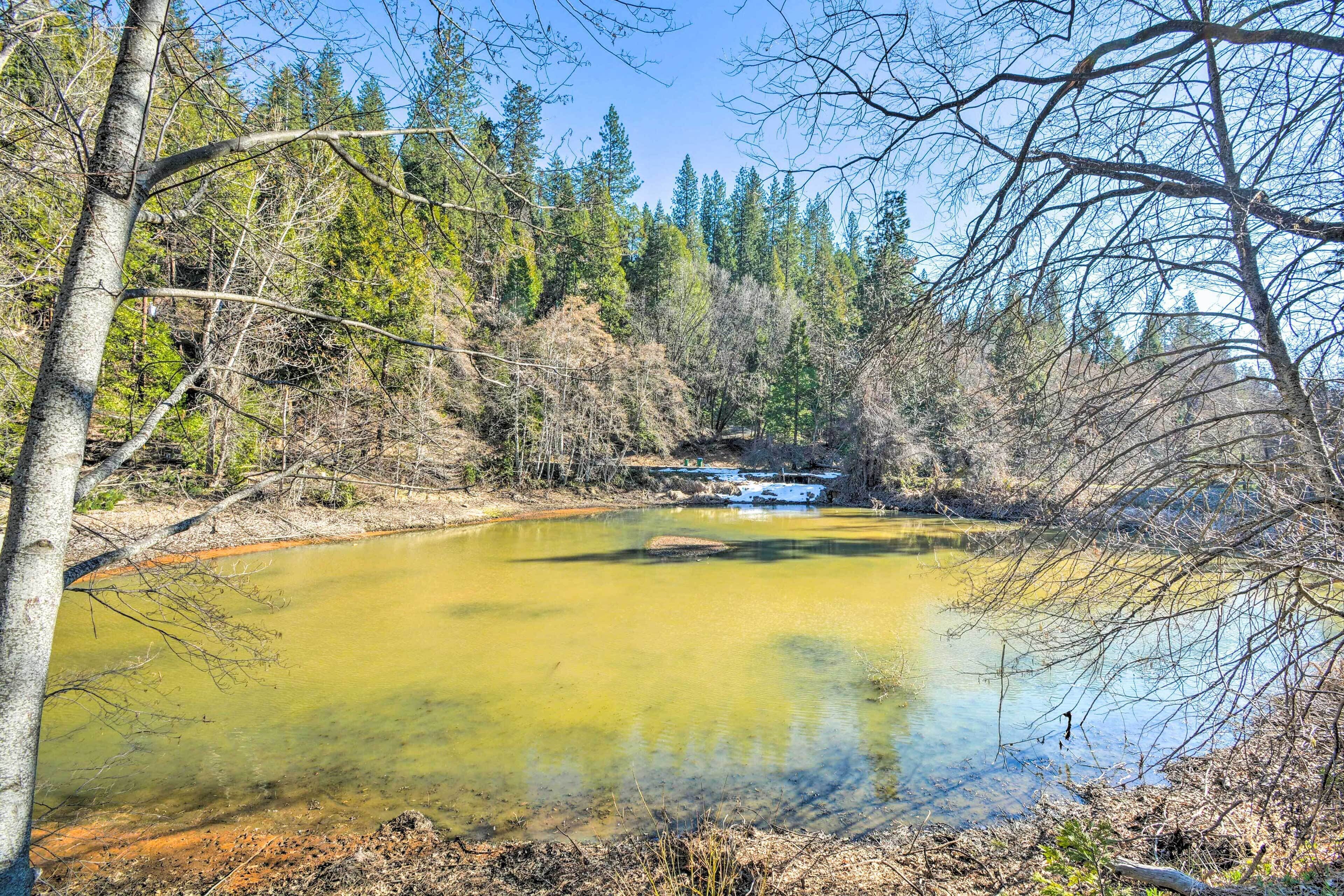 A natural landscape with a clear water body surrounded by trees and a small waterfall.