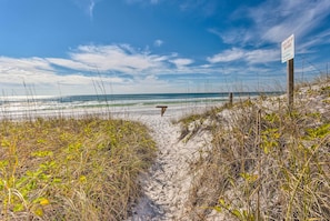 Apartment (2 Bedrooms) | Interior - Vibrant Family Condo: 100 Feet to Private Beach! (Miramar Beach)