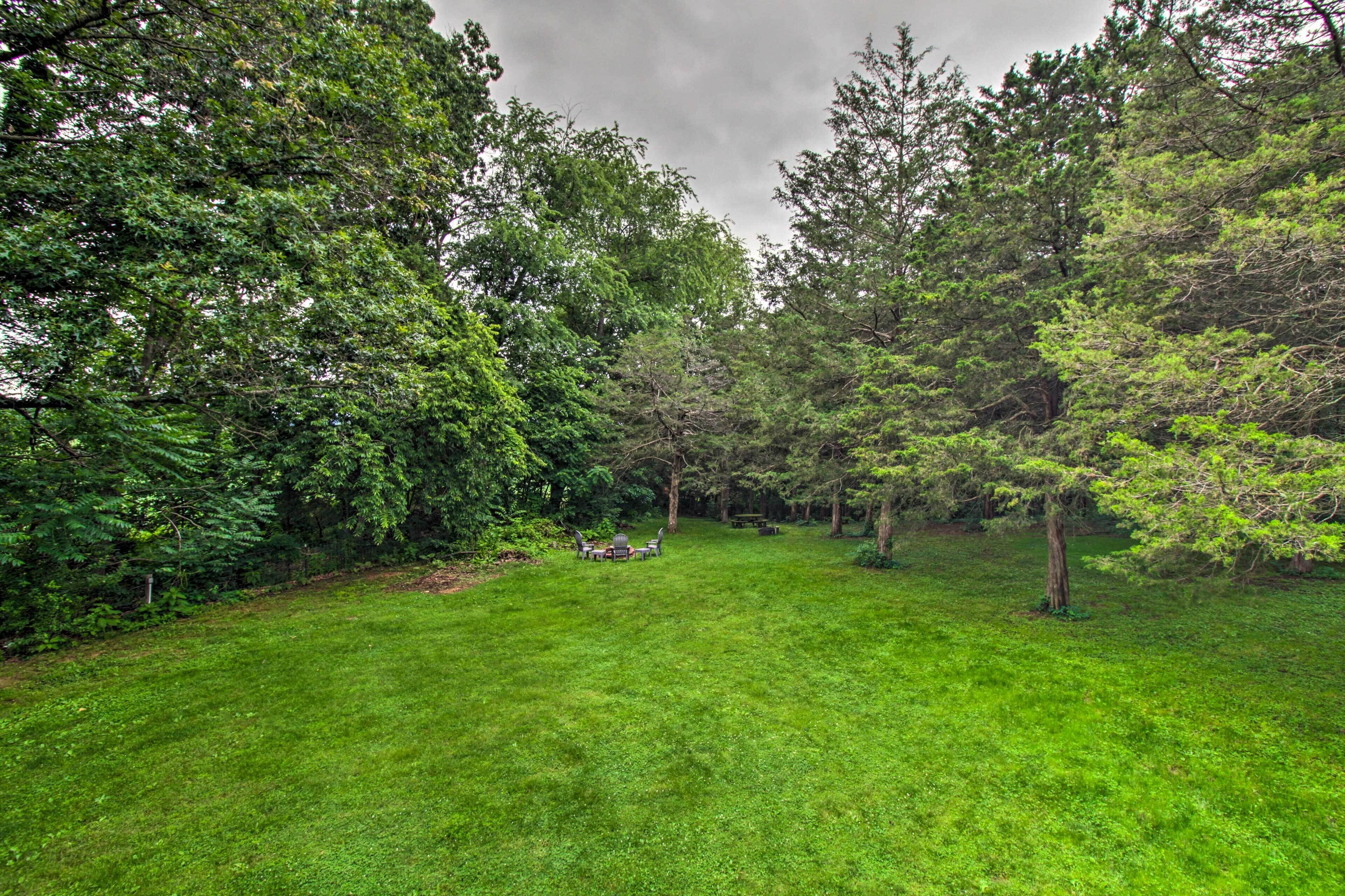 A lush green lawn with a picnic table and chairs, surrounded by dense trees.