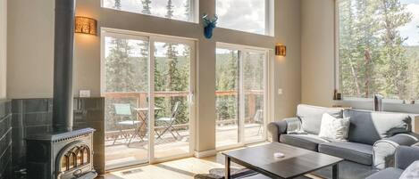 House (2 Bedrooms) | Living area | Fireplace, DVD player, books