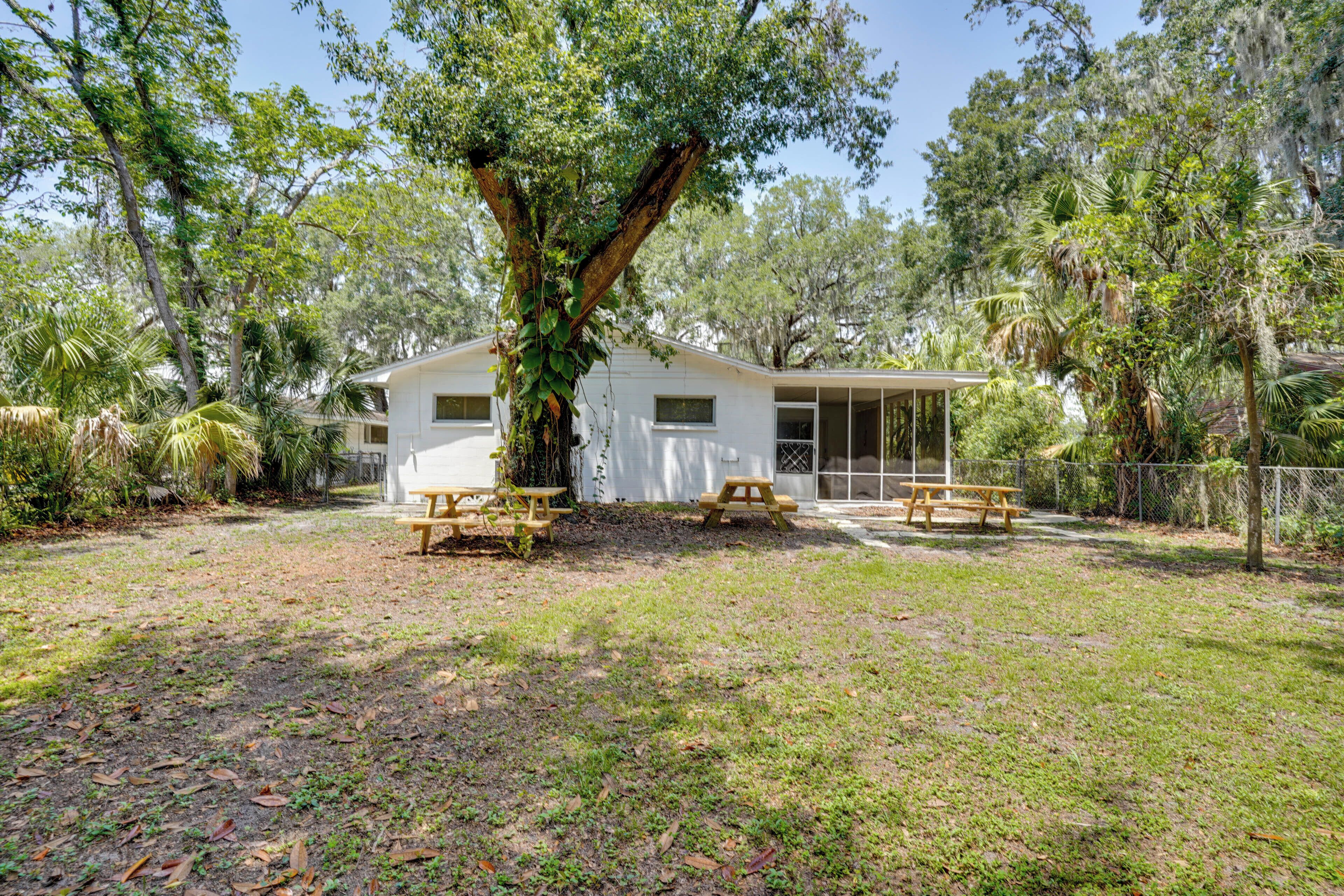 A white house with a large tree in front, surrounded by a grassy yard and various trees.