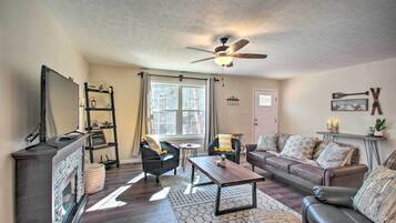 TV, fireplace, books