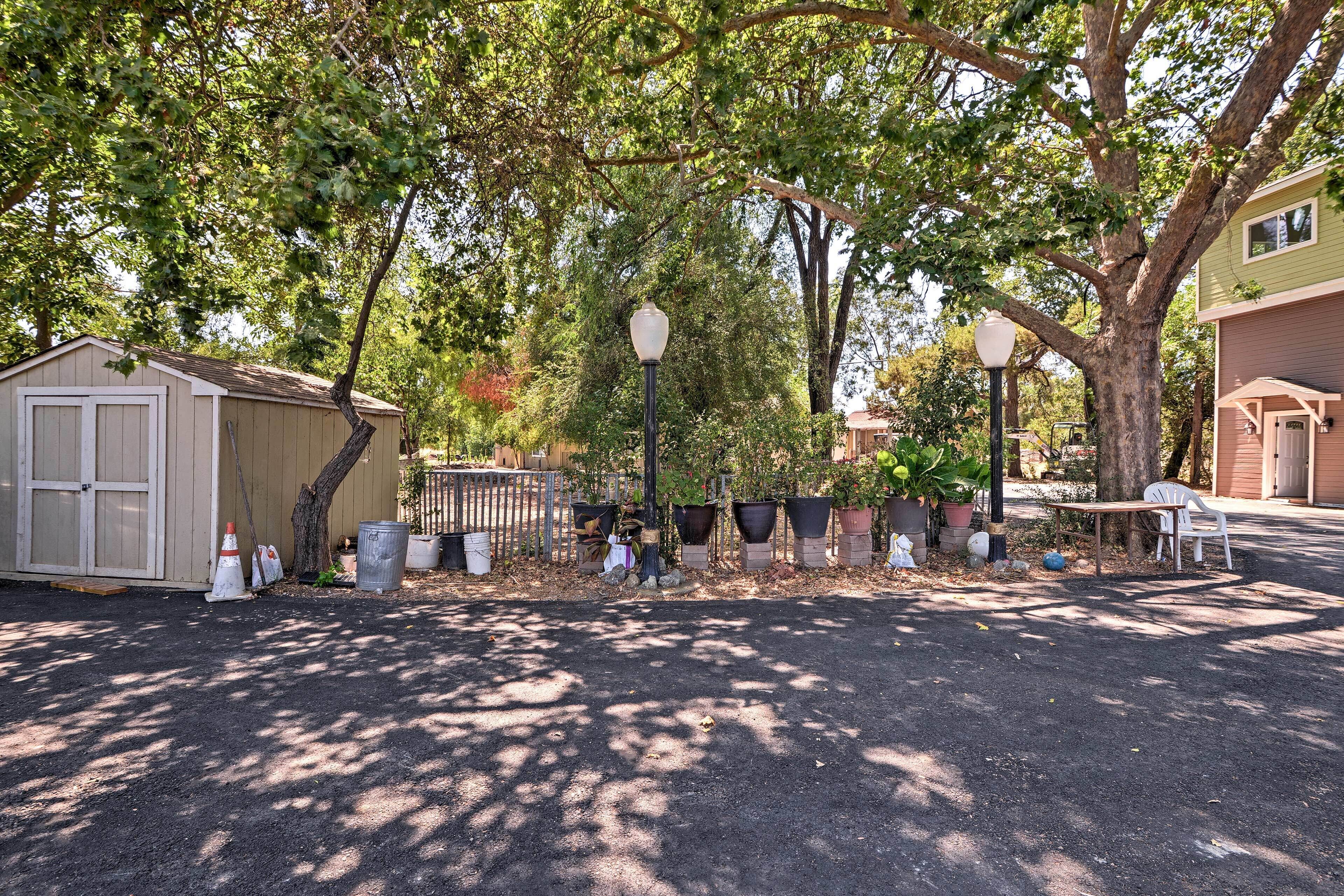 A paved driveway with a small shed, potted plants, and a white chair.