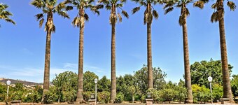 7 Mi to Dtwn Gilroy: Spacious Home on 20 Acres!