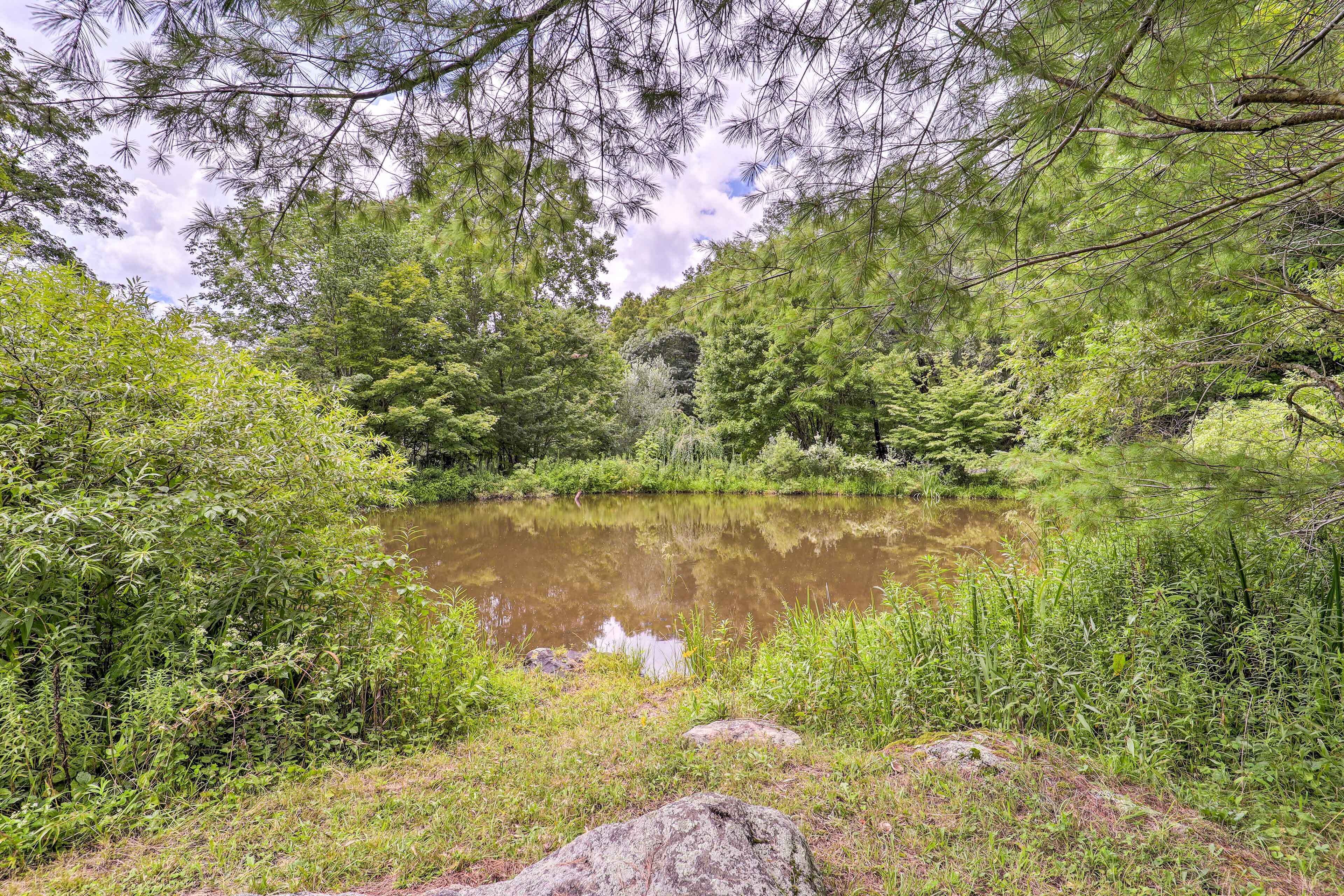 A natural landscape with a pond surrounded by dense greenery and trees.