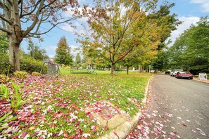 Apartment (0 Bedroom) | Interior - Experience Chautauqua! Newly Renovated Studio (Mayville)