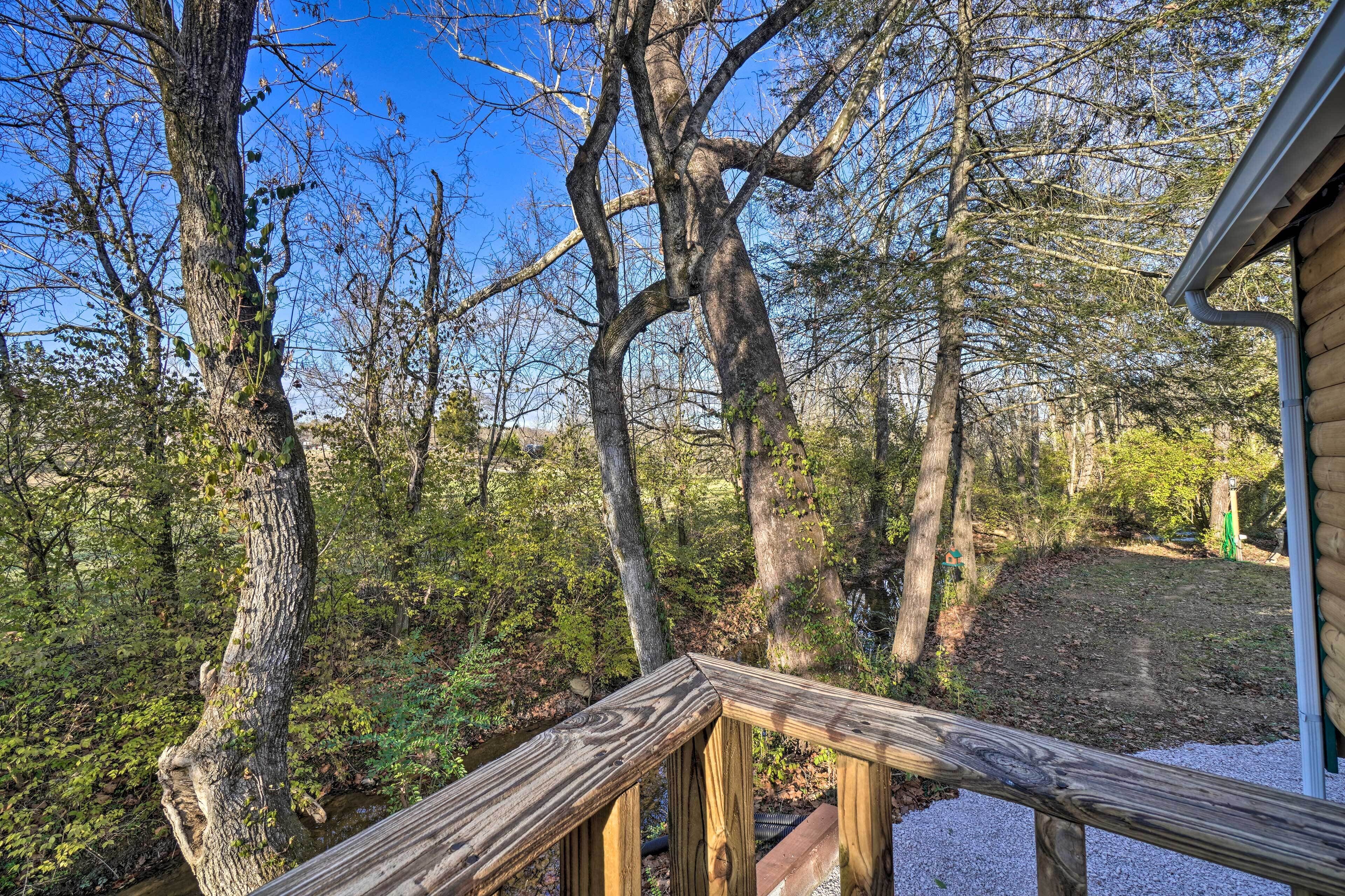 House (1 Bedroom) | Interior