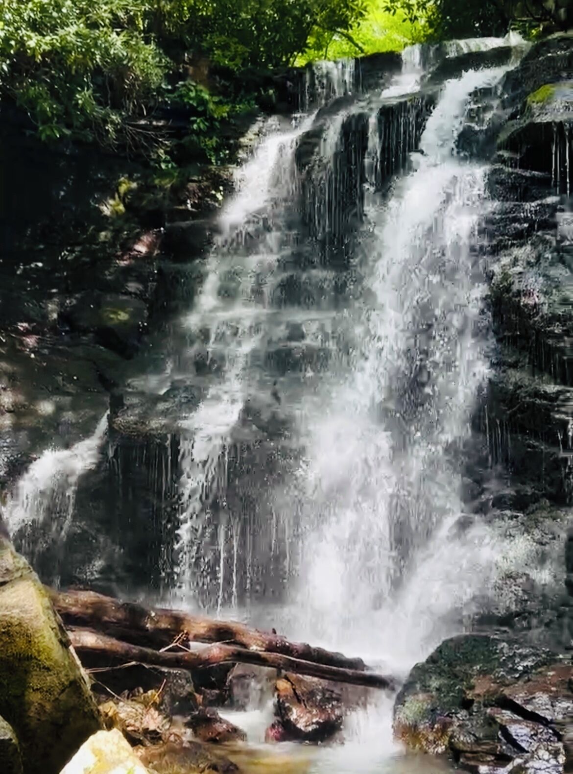 A waterfall cascading over rocks in a forested area.