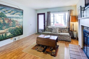 TV, fireplace, books