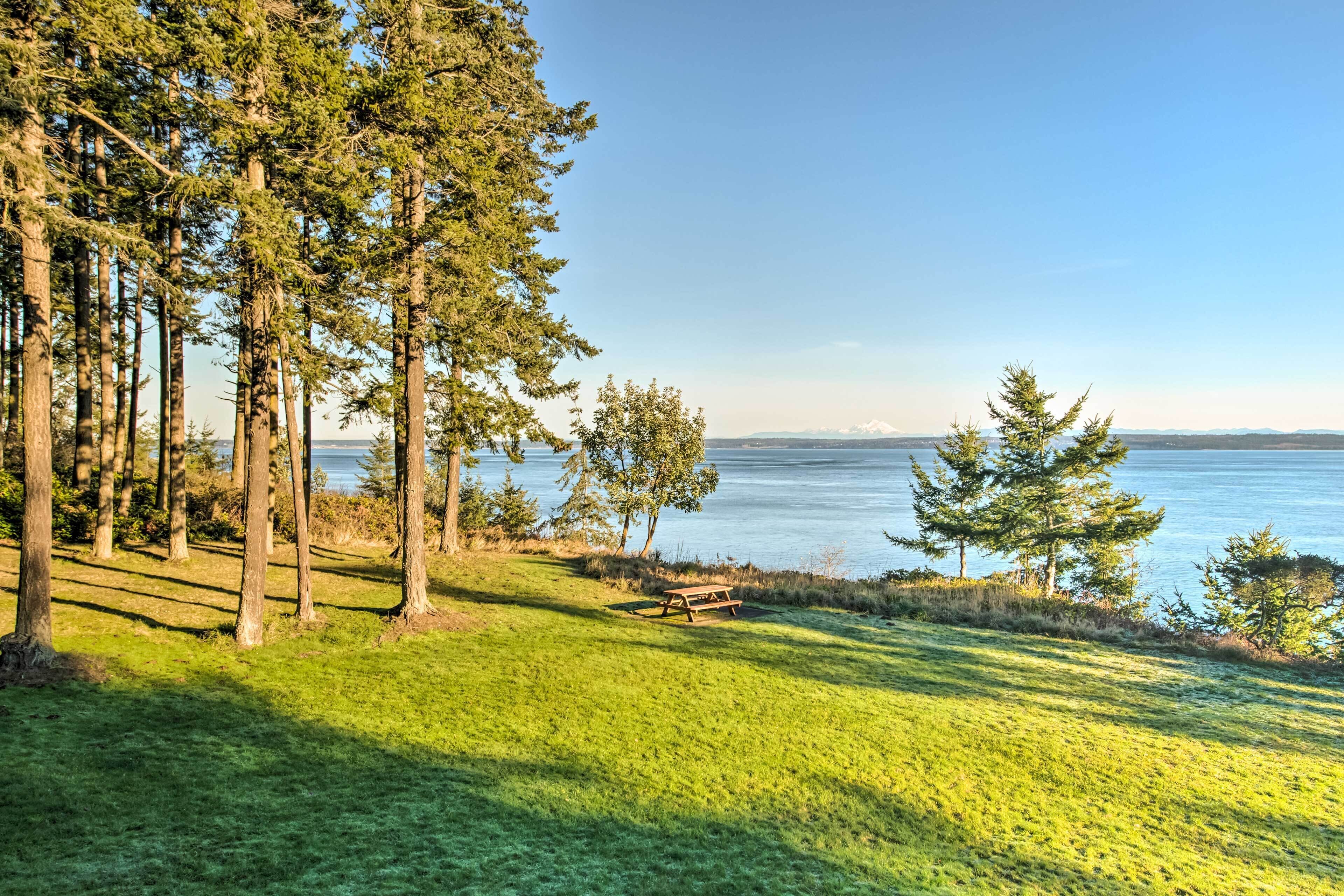 A grassy area with a wooden bench and trees, overlooking a body of water and distant mountains.