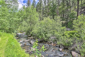 Paisaje natural con un arroyo, vegetación densa y árboles.