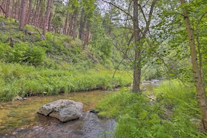 Zona boscosa con un arroyo y una roca grande al frente.