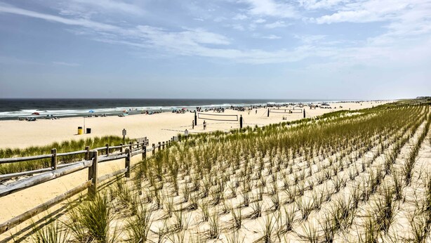 A beach with a wooden fence and dunes.