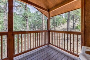 Property grounds - Family-friendly Ruidoso Cabin - Ski, Hike & Fish! (Ruidoso)