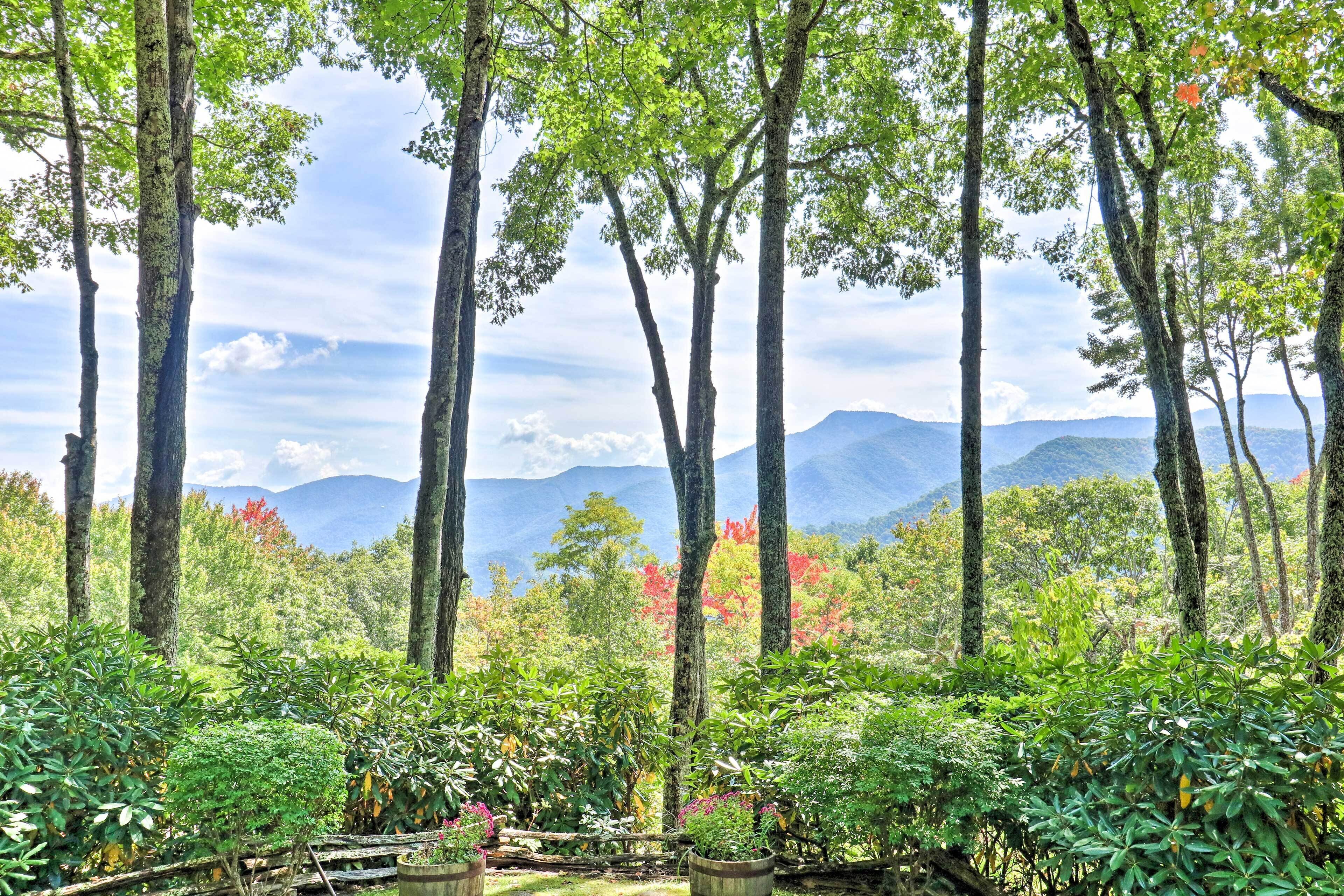 Mountain Getaway on 12 Acres w/ Sunroom & Views!