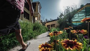 A pathway lined with vibrant flowers leading to a building with a classic architectural style. - Hotel RI Rab (Leh)