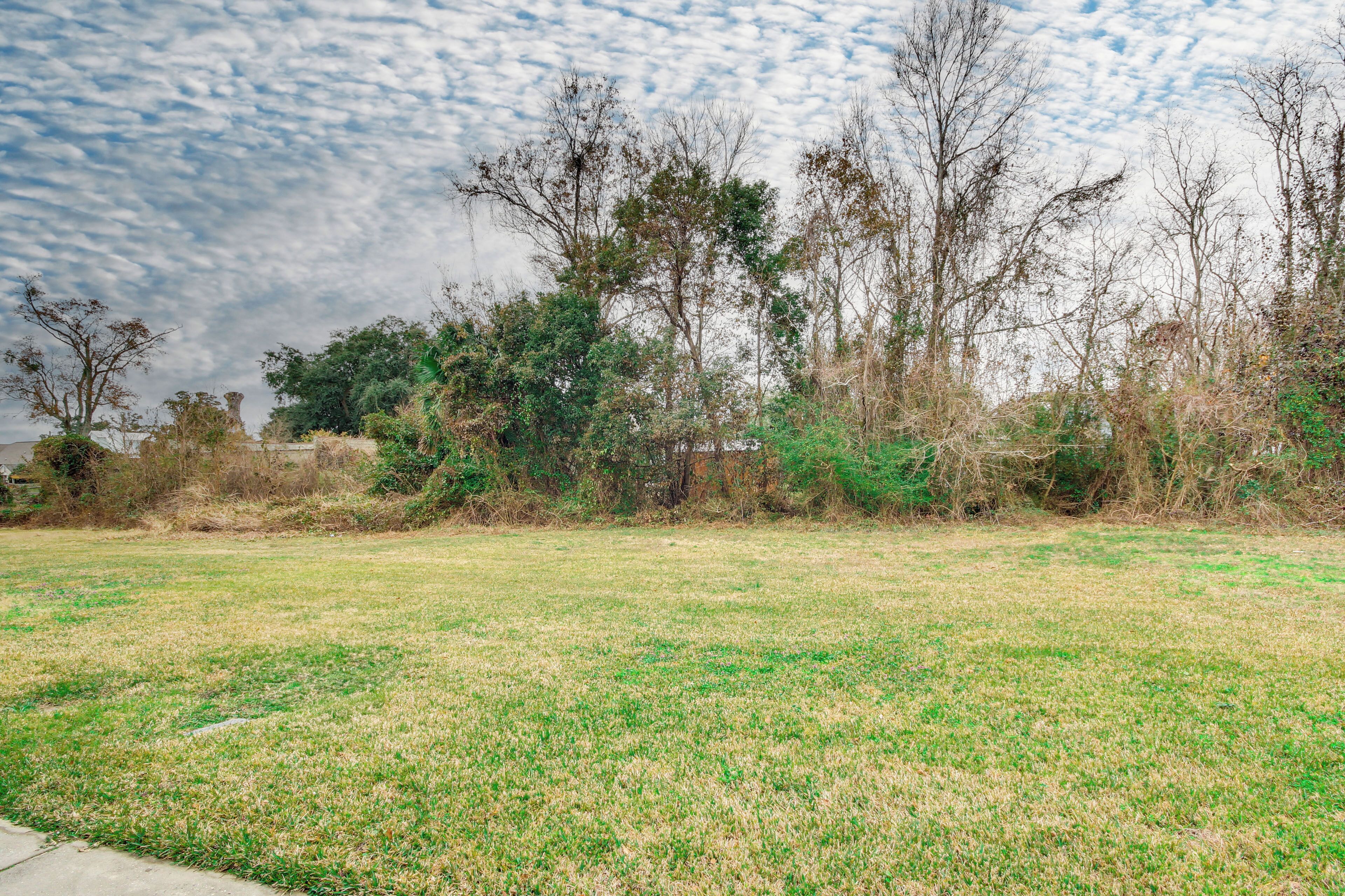 A grassy field with trees and a cloudy sky.