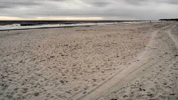 Appartement (2 Bedrooms) | Interieur