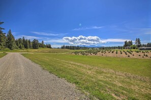 Casa (1 Bedroom) | Interior