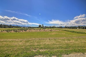 Maison (1 Bedroom) | Intérieur