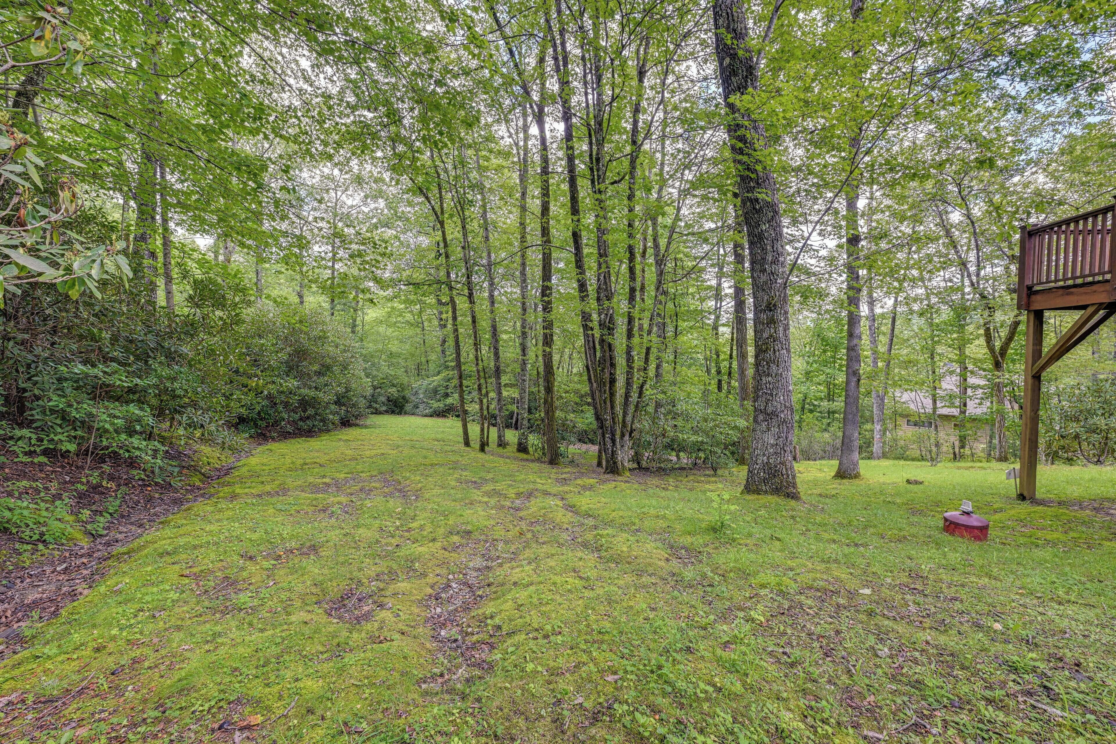 A forested area with a wooden deck and a grassy path.