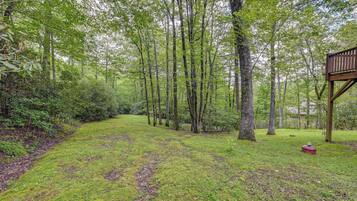 A forested area with a wooden deck and a grassy path.