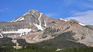 Apartment (0 Bedroom) | Interior