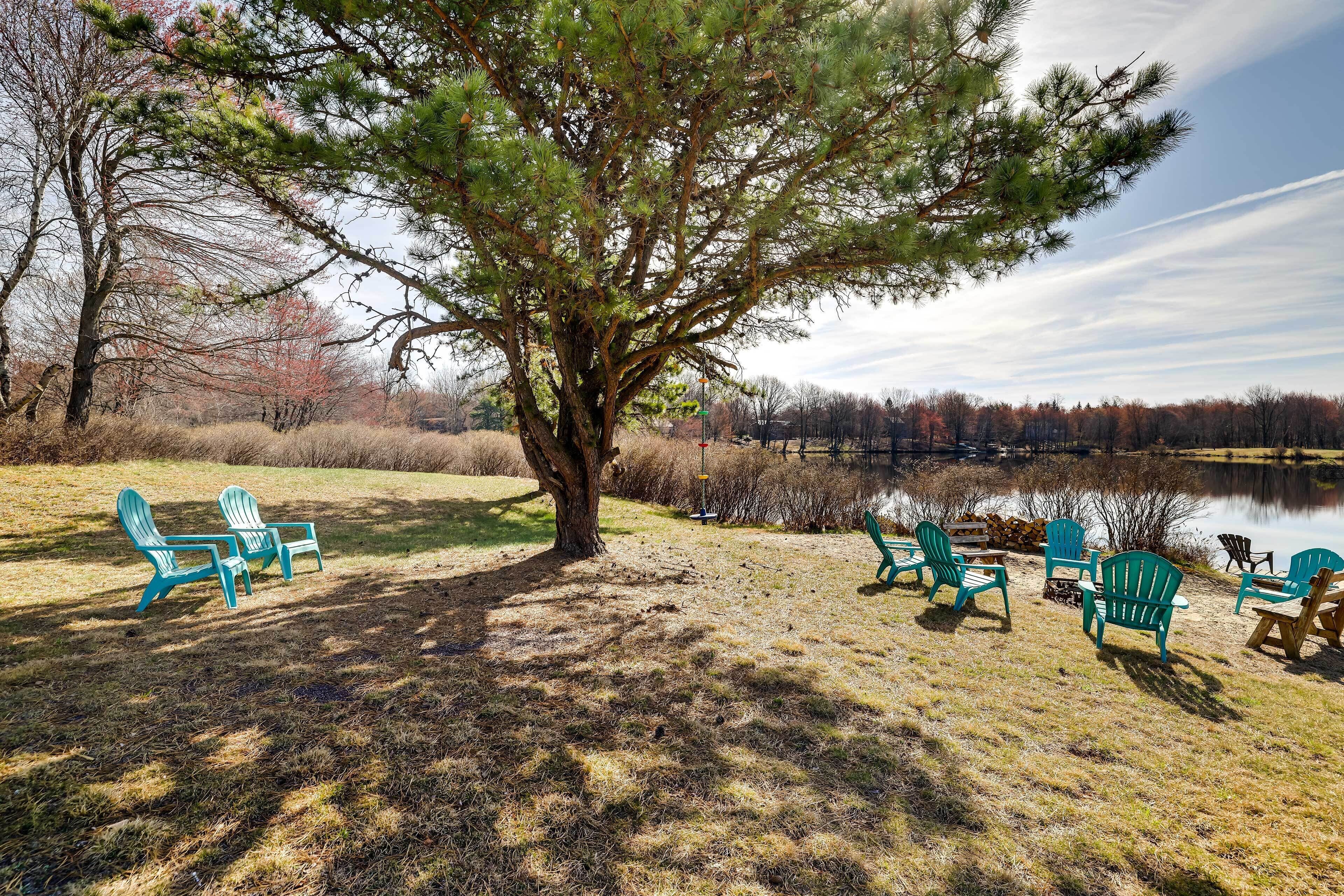 A large tree with a bench and chairs in a grassy area near a body of water.