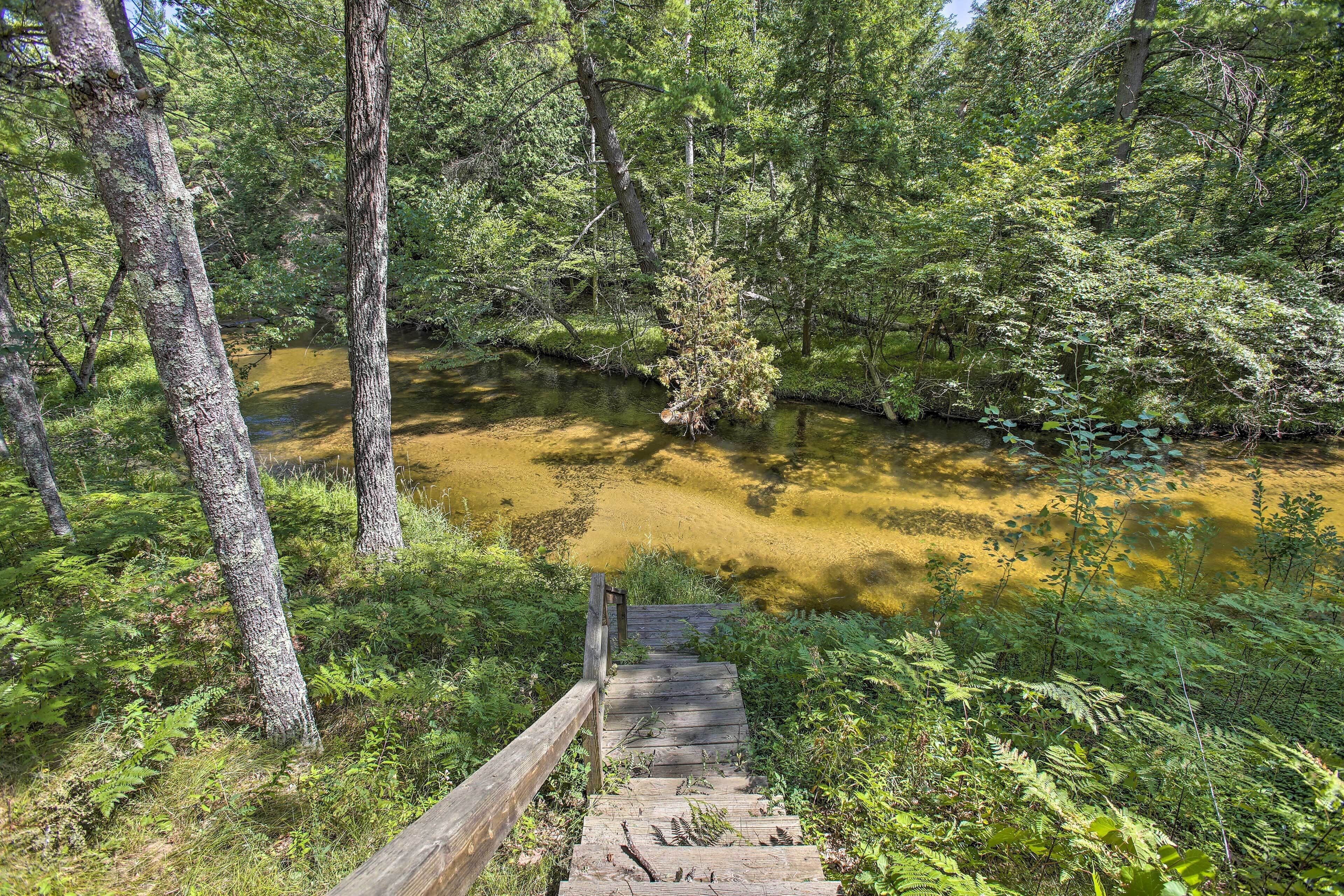 Un escalier en bois descend vers une rivière bordée d’une forêt dense.