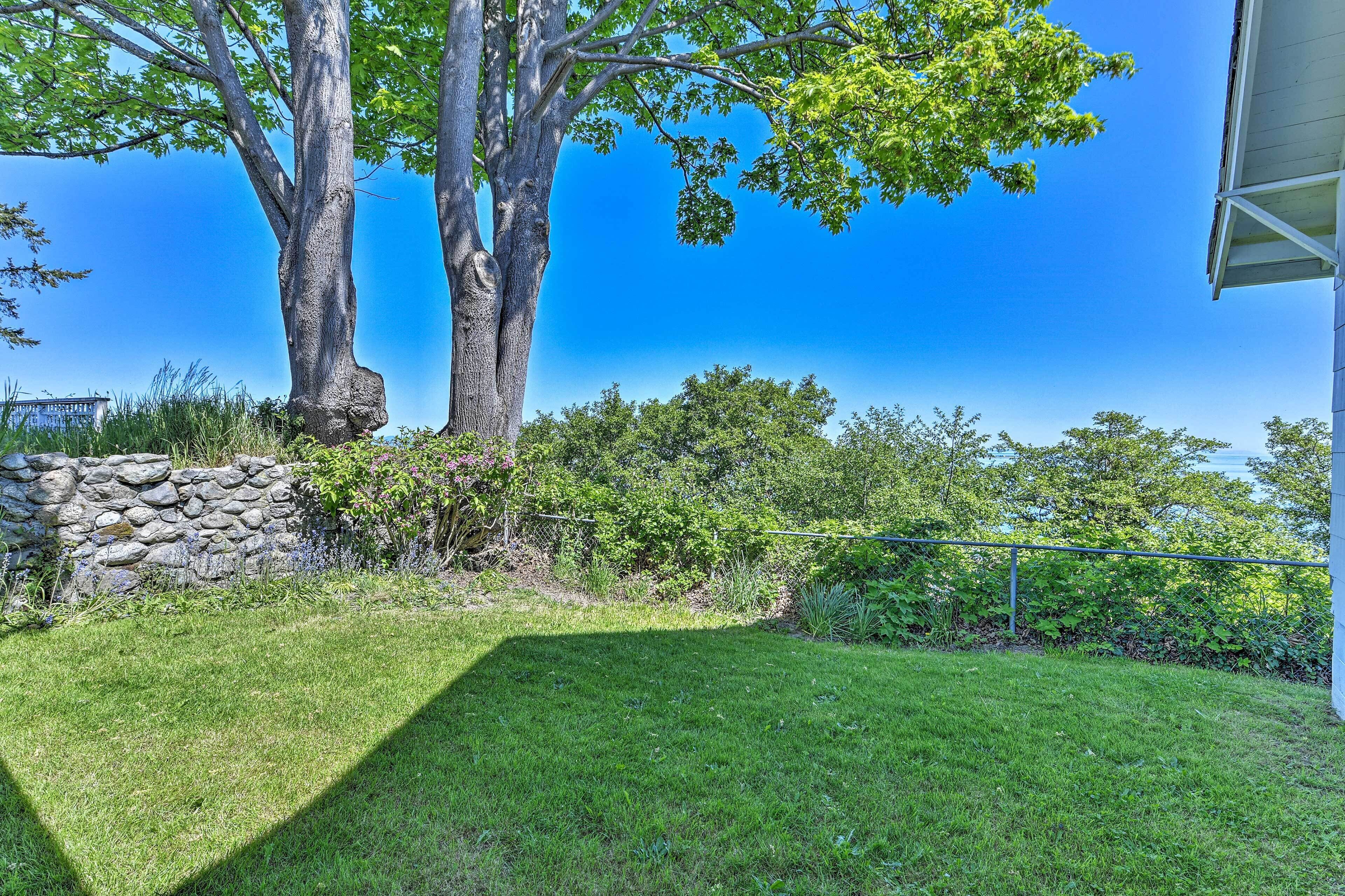 A backyard with a stone wall, two large trees, and a well-maintained lawn.