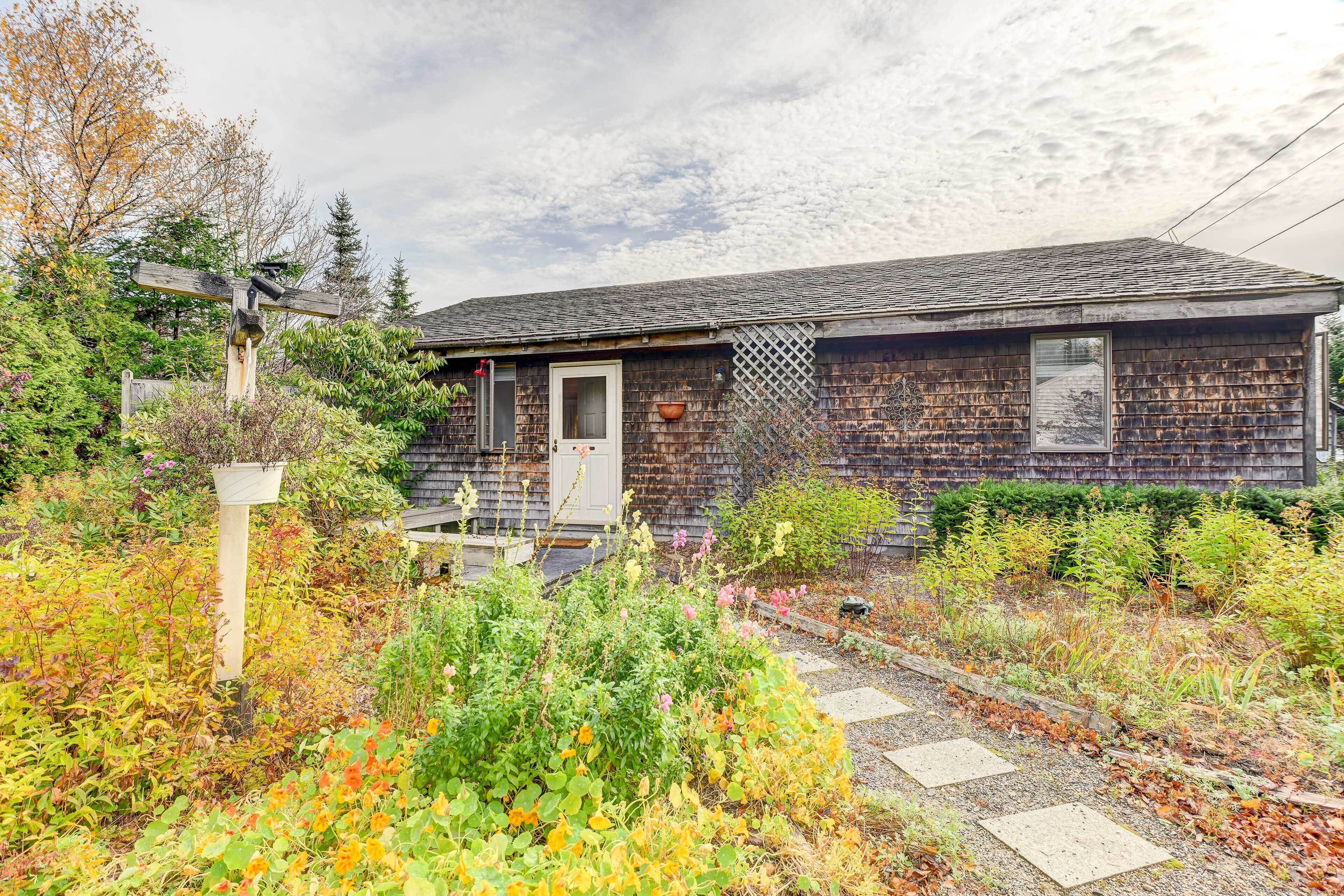 A rustic wooden house with a front porch, surrounded by a garden with various plants and a wooden signpost.
