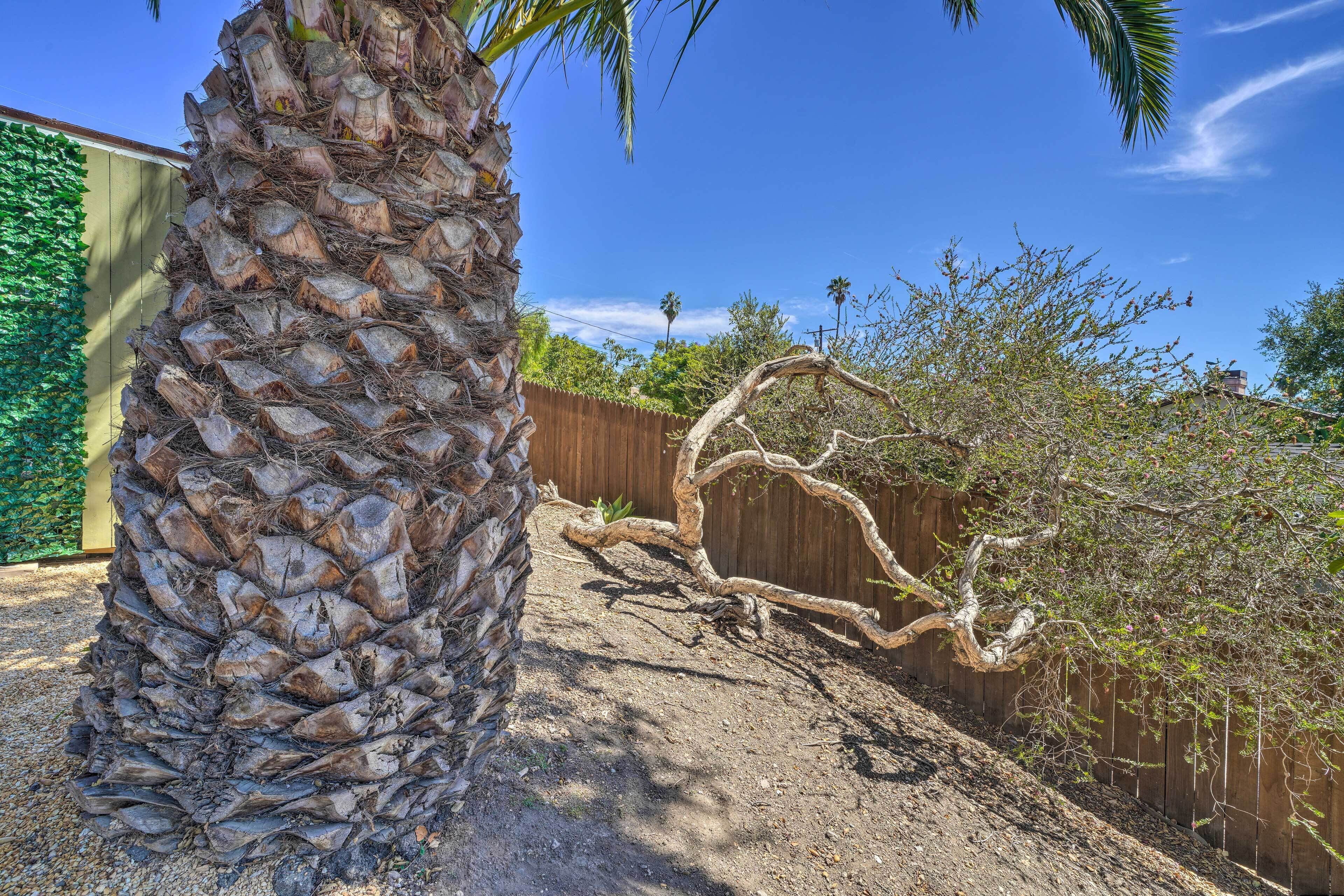 Apartment (0 Bedroom) | Interior