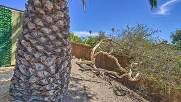 Apartment (0 Bedroom) | Interior